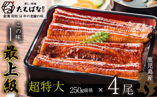 W02-21 国産うなぎ使用! 老舗たちばな 国産うなぎ蒲焼 (250g前後)4尾 南九州産 うなぎ 鰻 ウナギ 国産鰻 人気 おすすめ たれ 蒲焼 蒲焼き 特大 鰻 かばやき 冷凍 鰻 うな重 ひつまぶし 国産