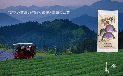 W55-20  I `{ʘIuv100g r[Ly[JÁq10500E