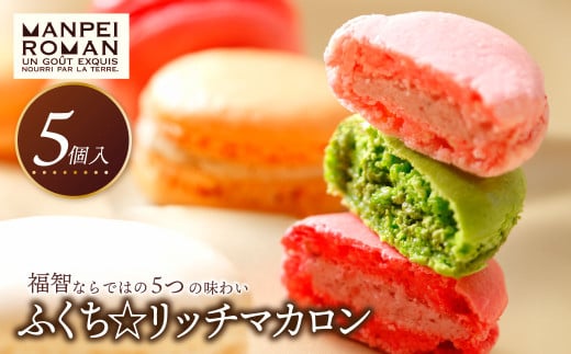 W23-01 ふくち☆リッチマカロン(5個詰合せ)福岡県福智町8000菓子・スイーツ焼き菓子