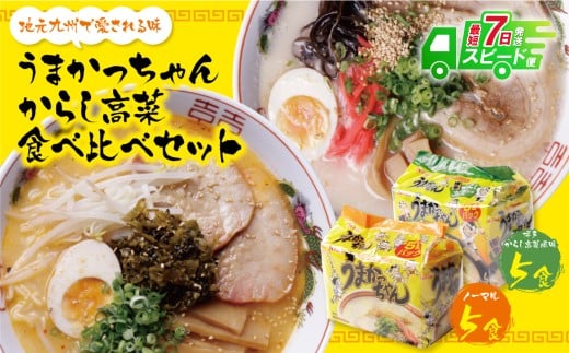 W55-06 【7営業日以内発送】うまかっちゃん 博多からし高菜・豚骨ラーメン食べ比べセット(5食×2) ★レビューキャンペーン開催★福岡県福智町6000麺ラーメン