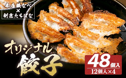 W02-12 本店鉄なべ×割烹たちばな オリジナル餃子 48個 国産 肉 餃子 ぎょうざ ギョーザ ギョウザ 小分け 人気 餃子 おすすめ 餃子 冷凍 おかず おつまみ 割烹 名店 ご当地グルメ福岡県福智町125