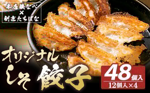 W02-14 こだわりの1品! 本店鉄なべ×割烹たちばな 餃子セット48個(オリジナル・しそ各24個) 国産 肉 餃子 ぎょうざ ギョーザ ギョウザ 小分け 人気 餃子 おすすめ 餃子 冷凍 おかず おつまみ 割