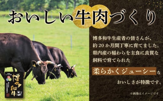 W09-09 博多和牛 生ハンバーグ 5個セット ブランド肉 ハンバーグ 肉汁 焼くだけ 簡単調理 ごちそう 個包装 お取り寄せ ギフト 贈答 牛肉 国産 和牛 人気 おすすめ 冷凍 ブランド 絶品 高級 高品