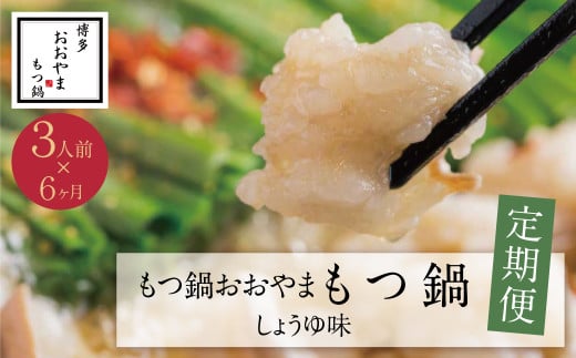 W65-88 【定期便6ヶ月】福岡売上No1 博多もつ鍋おおやま しょうゆ味 3人前 ★レビューキャンペーン開催★福岡県福智町112500鍋セット・総菜・加工食品カレー・シチュー