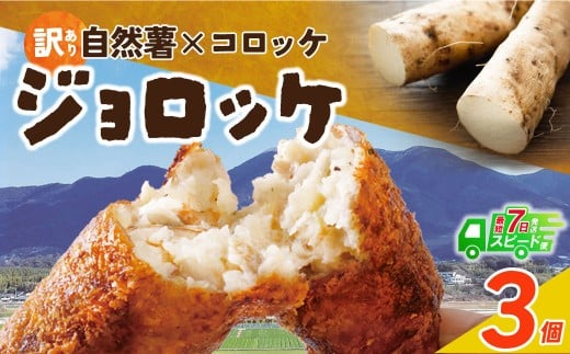 W19-05 自然薯たっぷり!福智町産じねんじょコロッケ【訳あり・冷凍・スピード発送】スピード発送 ジョロッケ 3個セット じねんじょ 山芋 野菜 グルメ 取り寄せ ご当地 特産 産地 直送人気