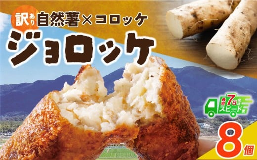 W19-08 自然薯たっぷり!福智町産じねんじょコロッケ【訳あり・冷凍・スピード発送】 ジョロッケ 8個セット じねんじょ 山芋 野菜 グルメ 取り寄せ ご当地 特産 産地 直送人気 オススメ 惣菜