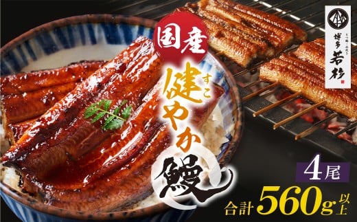 W61-172 健やか鰻 国産うなぎ蒲焼(無頭)4尾(計560g以上) 九州産 国産鰻 うなぎ ウナギ 鰻 人気 おすすめ ひつまぶし 鰻 蒲焼き タレ 山椒 ランキング 鰻 冷凍 うな重 ひつまぶし うなぎ 福智