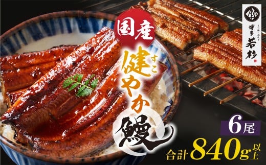 W61-173 健やか鰻 国産うなぎ蒲焼(無頭)6尾(計840g以上) 九州産 国産鰻 うなぎ ウナギ 鰻 人気 おすすめ ひつまぶし 鰻 蒲焼き タレ 山椒 ランキング 鰻 冷凍 うな重 ひつまぶし うなぎ 福智