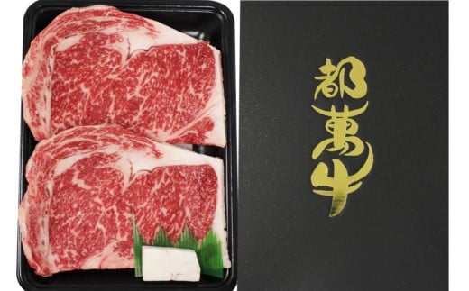 都萬牛 黒毛和牛ロースステーキ 牛肉 ステーキ <2-26>牛肉 自社ブランド宮崎県西都市20000肉牛肉