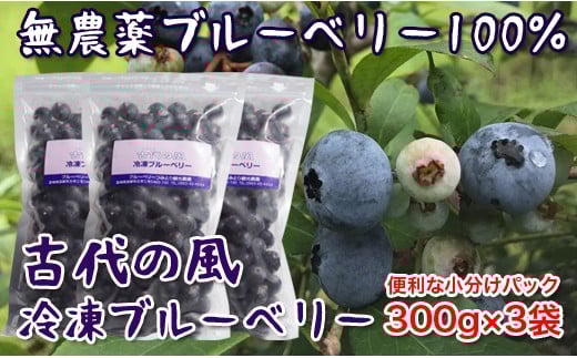 『古代の風』無農薬ブルーベリー900g 小分け300g×3<1-57>★宮崎県西都市11000果物・フルーツその他 果物・フルーツ