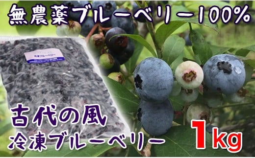 数量限定 『古代の風』無農薬ブルーベリー1s <1-56>★宮崎県西都市11000果物・フルーツその他 果物・フルーツ
