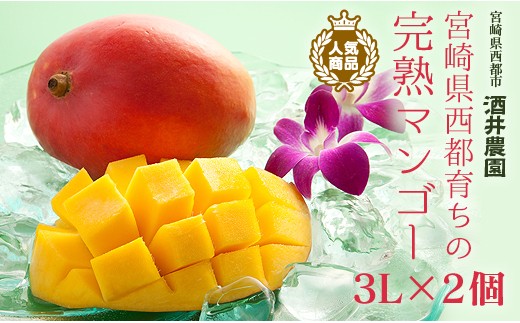 今が旬!酒井農園 西都産 宮崎完熟マンゴー3L×2個産地直送<1.5-4>宮崎マンゴー宮崎県西都市15000果物・フルーツマンゴー・パイナップル