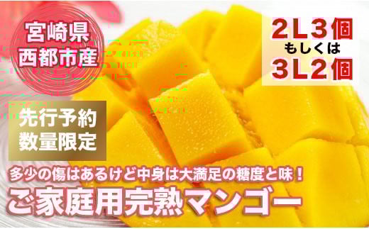 【先行予約】訳ありご家庭用 完熟マンゴー 宮野原農園宮崎スターズマンゴー 2〜3個約1kg<1.3-4>宮崎完熟マンゴー 果物 フルーツ 甘い宮崎県西都市13000果物・フルーツその他 果物・フルー