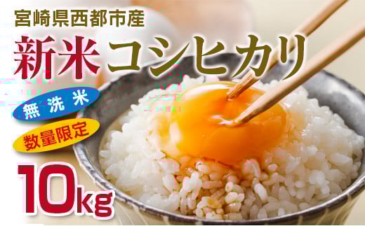 新米無洗米コシヒカリ5kg×2 合計10kg 宮崎県西都産<1.5-30>宮崎県西都市15000米・パン無洗米
