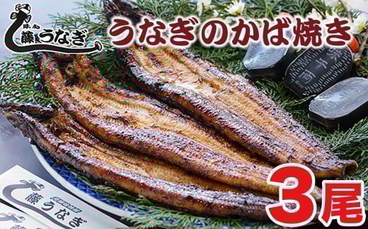 藤うなぎ かば焼き3尾 国産うなぎ 宮崎 蒲焼 鰻<2.5-6>宮崎県西都市25000魚介・海産物うなぎ