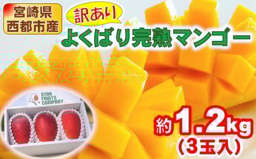 訳あり よくばり完熟マンゴーセット3玉 約1.2kg アップルマンゴー  宮崎県西都産 生産者直送【マンゴー専門 スターフルーツカンパニ】<1.8-25>宮崎マンゴー【先行予約】宮崎県西都市18000果