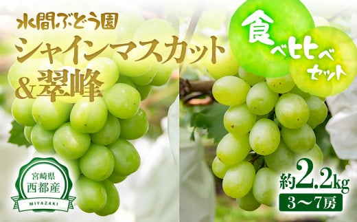 VC}XJbg 2.2kg 3~7[ Hה׃Zbg sYnԂǂ ԂԂǂys\z2-4{茧ss20000ʕEt[c}XJbgEԂǂ