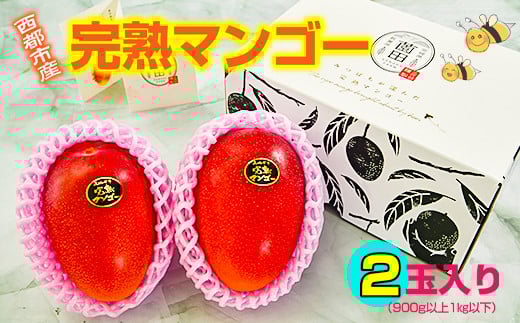 【薗田農園】西都市産完熟マンゴー2玉 900g〜1kg【先行予約】<1.5-148>宮崎県西都市15000果物・フルーツマンゴー・パイナップル