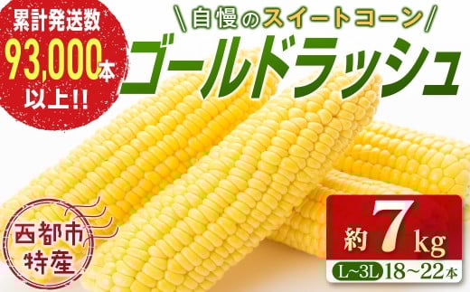 XC[gR[yS[hbVz18`22{ 7kg ssY Ƃ낱1-122ys\z{茧ss11000؁ÊƂ낱