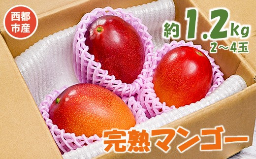 【先行予約】訳あり 西都市産完熟マンゴー 1.2kg 2〜4玉<1.2-34>宮崎県西都市12000果物・フルーツその他 果物・フルーツ