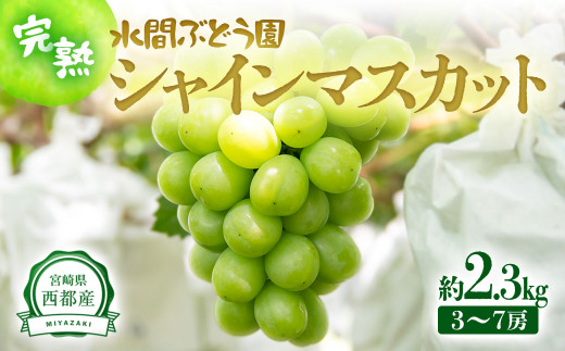 nVC}XJbg 2.5kg sYnԂǂ 2-82{茧ss20000ʕEt[c}XJbgEԂǂ