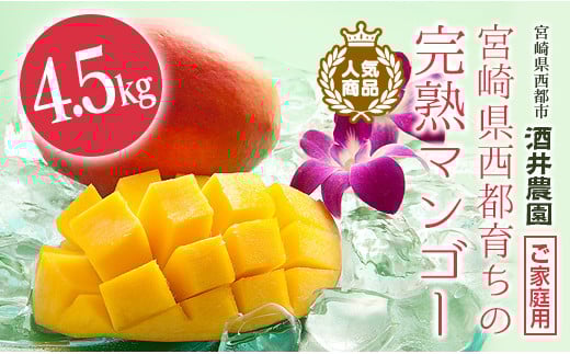 今が旬!!訳あり 8玉〜14玉 酒井農園 ご家庭用完熟マンゴー4.5kg <4.5-7>宮崎県西都市45000果物・フルーツマンゴー・パイナップル