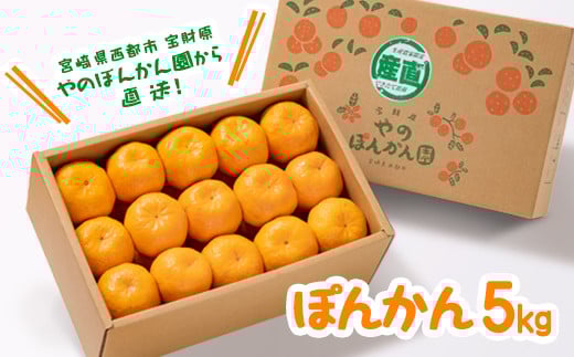 ۂ񂩂5kg 12Jn {茧sY  ̂ۂ񂩂 ys\z1.4-9|J{茧ss14000ʕEt[c݂Ek