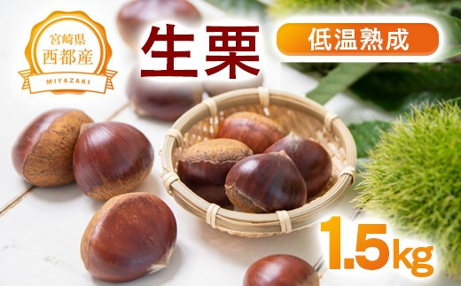 ቷnI YI1.5kg xQ`R{  ssYys\z1.5-220 I  Y I ʕ t[c IƂ XC[cɋ{茧ss15000ʕEt[c̑ ʕEt[c