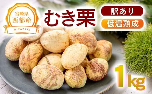 y󂠂zቷnI 1kg YނI x2`3{㏸  ssYys\z2.1-9 I  Y I ʕ t[c IƂ XC[cɋ{茧ss21000ʕEt[c̑ ʕE