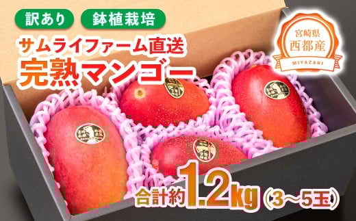 󂠂 A͔| sYn}S[ 1.2kg {茧sY TCt@[1.3-27t[c ʕ  Âys\z{茧ss13000ʕEt[c}S[EpCibv