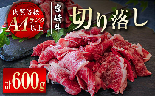 宮崎牛 切り落とし600g 小分け(300g×2パック)ブランド級 A4等級以上 内閣総理大臣賞4連覇 <1.2-52>宮崎県西都市12000肉牛肉