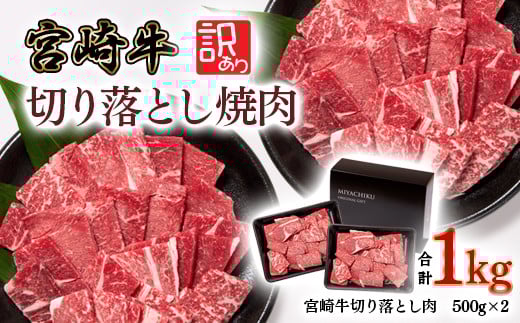{苍 Ԑgē 1kg 500×2 󂠂 ؂藎Ƃē  4ȏ uh ~`N tb4Ae 2-15ēp  Ԑg{茧ss21000