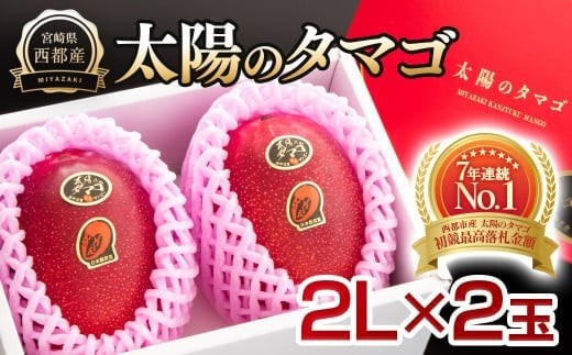 最高級ブランド『太陽のタマゴ』2Lサイズ2個入り【糖度15度以上】宮崎県西都市産完熟マンゴー<2-94>宮崎完熟マンゴー 果物 フルーツ 甘い【先行予約】宮崎県西都市20000果物・フルーツマ