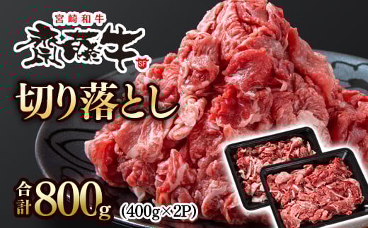 黒毛和牛「宮崎和牛 齋藤牛」牛肉 切り落とし 800g 小分け 400g×2パック<1.2-61>国産牛 切り落とし牛肉宮崎県西都市12000肉牛肉