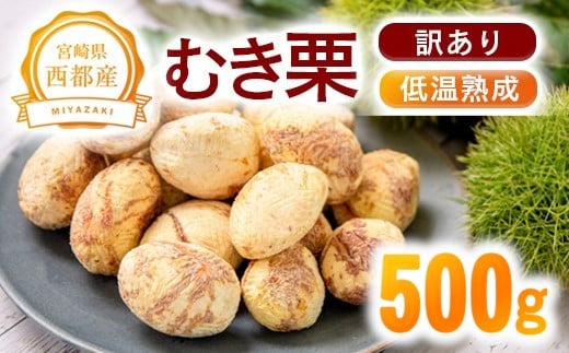 y󂠂zቷnI YނI 500g x2`3{  ssYys\z1.1-19 I  Y I ʕ t[c IƂ XC[cɁ{茧ss12000ʕEt[c̑ ʕE