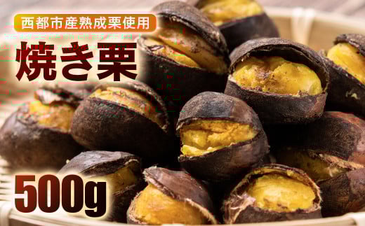 秋の味覚! 熟成焼き栗 2パック 合計500g【先行予約】<1-288>くり 栗  国産 生栗 果物 フルーツ スイーツ★宮崎県西都市11000果物・フルーツその他 果物・フルーツ