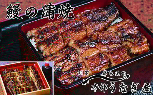 うなぎ 蒲焼 カット無頭 本部うなぎ屋 かば焼き 国産 宮崎 蒲焼 鰻<3-8>宮崎県西都市30000魚介・海産物うなぎ