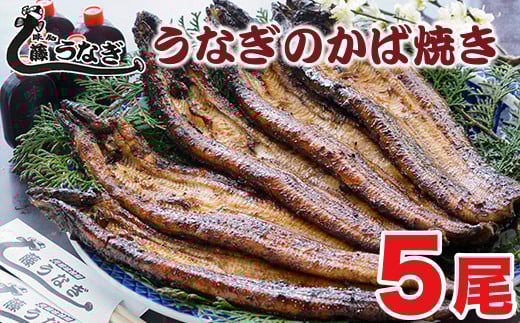 【土用の丑 No.1】藤うなぎ かば焼き5尾 国産うなぎ 宮崎 蒲焼 鰻<4.2-2>宮崎県西都市42000魚介・海産物うなぎ