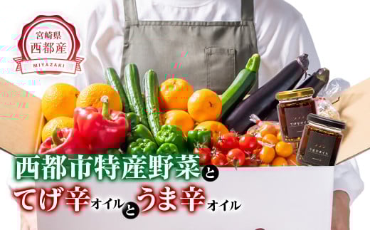 農家直送新鮮野菜と加工品詰め合わせセット【先行予約】<1.5-23>★宮崎県西都市16000野菜・きのこその他 野菜