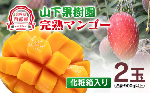 【マンゴー専門 山下果樹園】完熟マンゴー 2玉 900g以上 アップルマンゴー 宮崎県西都産 生産者直送<1.8-17>宮崎マンゴー【先行予約】宮崎県西都市18000果物・フルーツマンゴー・パイナッ