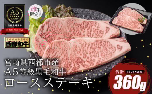 【最高品質のA5等級 西都和牛】黒毛和牛ロースステーキ 2枚(180g×2)宮崎県産<1.5-26>【カミチクファーム】牛肉 ステーキ宮崎県西都市15000肉牛肉