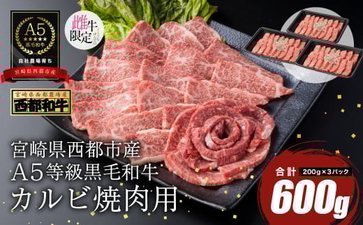 【最高品質のA5等級 西都和牛】黒毛和牛カルビ焼肉 600g  小分け <1.9-5>【カミチクファーム】宮崎県西都市19000肉牛肉