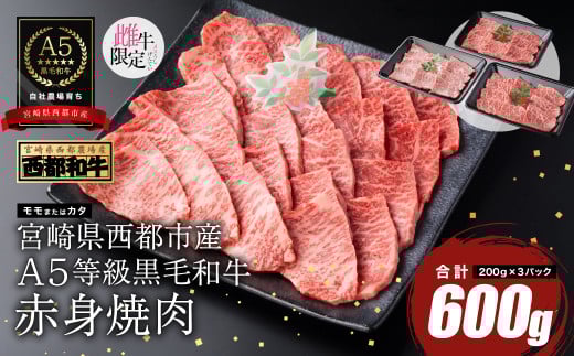 【最高品質のA5等級 西都和牛】黒毛和牛赤身焼肉 600g <1.4-6>【カミチクファーム】宮崎県西都市14000肉牛肉