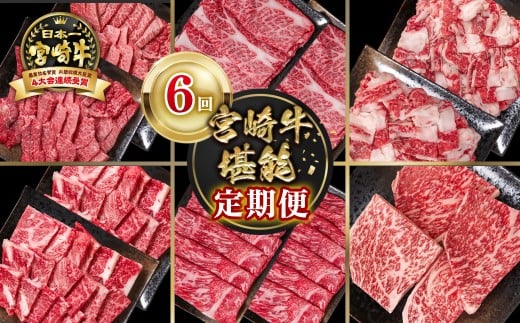 【定期便】宮崎牛 6回定期便 小分け ブランド牛 A4〜A5等級 内閣総理大臣賞4連覇<9-13>焼き肉 すき焼き 牛肉 最高級黒毛和牛宮崎県西都市90000肉牛肉