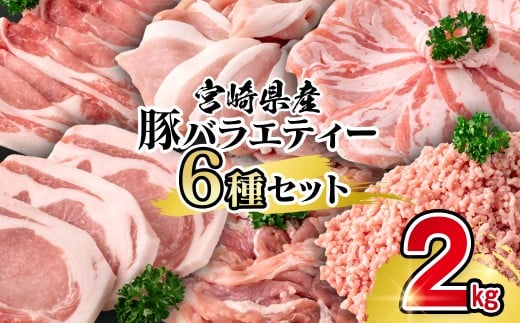 宮崎県産豚肉 6種 バラエティ2kgセット<1-70>小分け スライス 鍋 トンカツ 餃子等★宮崎県西都市11000肉豚肉