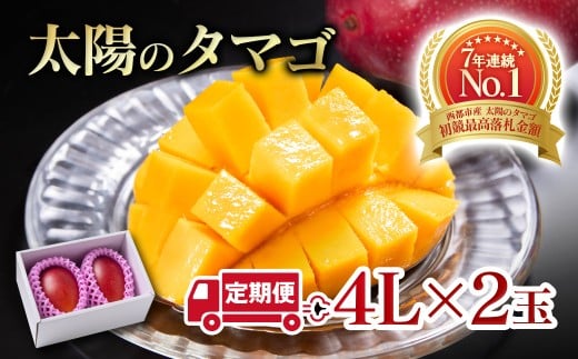 【2ヶ月定期便】最高級ブランド『太陽のタマゴ』4Lサイズ2個入り【糖度15度以上】宮崎県西都市産完熟マンゴー<10-18>宮崎完熟マンゴー 果物 フルーツ 甘い【先行予約】宮崎県西都市100000