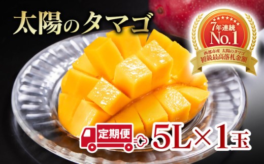 【2ヶ月定期便】最高級ブランド『太陽のタマゴ』特大サイス 5Lサイズ1個入り【糖度15度以上】宮崎県西都市産完熟マンゴー<8-9>宮崎完熟マンゴー 果物 フルーツ 甘い【先行予約】宮崎県