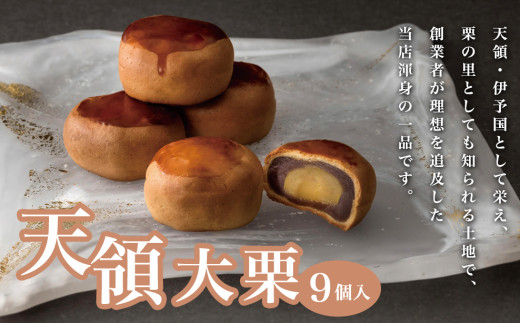 天領大栗 9個入り愛媛県四国中央市11000菓子・スイーツその他 和菓子