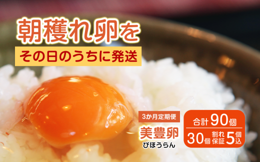 【3か月定期便】 たまご 卵 美豊卵 熊福 30個 定期便 玉子 タマゴ 鶏卵 オムレツ 卵かけご飯 朝食 料理 人気 たまご焼き TKG たまごかけごはん エッグ ふるさと納税  【四国中央市 日本一 紙の