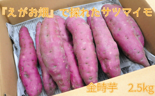 『えがお畑』で採れたサツマイモ金時芋 2.5kg愛媛県四国中央市5000野菜・きのこじゃがいも・イモ類